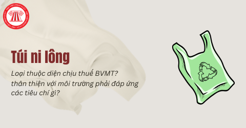 Túi ni lông thuộc diện chịu thuế bảo vệ môi trường là loại nào? Túi ni lông thân thiện với môi trường phải đáp ứng các tiêu chí gì?