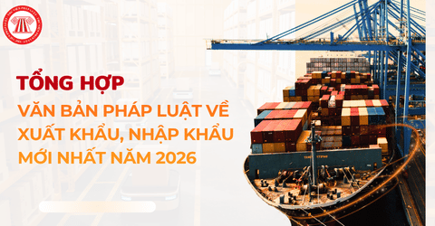 TỔNG HỢP Văn bản pháp luật về XUẤT KHẨU, NHẬP KHẨU cập nhật mới nhất năm 2026?