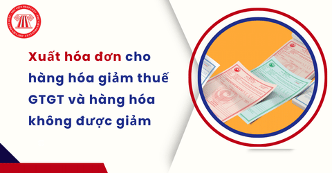 NNT có được xuất chung một hóa đơn cho hàng hóa giảm thuế và hàng hóa không được giảm thuế GTGT không?