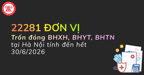 Danh sách hơn 22000 đơn vị trốn đóng BHXH, BHYT, BHTN tại Hà Nội tính đến hết ngày 30/6/2026 theo cập nhật mới nhất