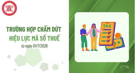 Các trường hợp chấm dứt hiệu lực mã số thuế từ ngày 01/7/2026? Mã số thuế được khôi phục khi nào?