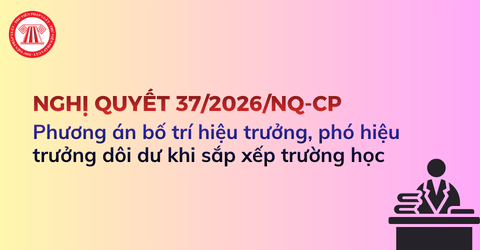 Hiệu trưởng, phó hiệu trưởng dôi dư khi sắp xếp trường học được bố trí thế nào theo Nghị quyết 37 2026 NQ CP?
