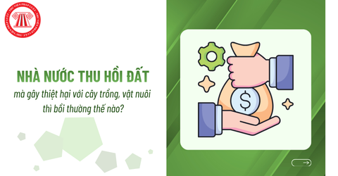 Nhà nước thu hồi đất mà gây thiệt hại với cây trồng, vật nuôi thì bồi thường thế nào?