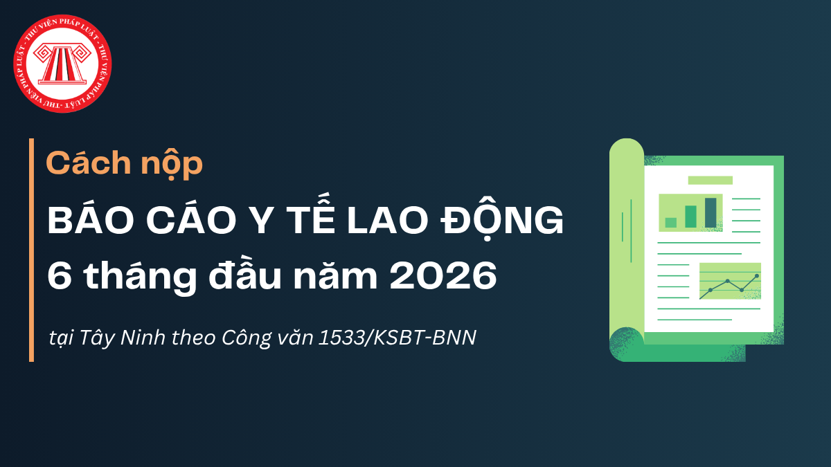Cách nộp BÁO CÁO Y TẾ LAO ĐỘNG 6 tháng đầu năm 2026 tại Tây Ninh theo Công văn 1533/KSBT-BNN 