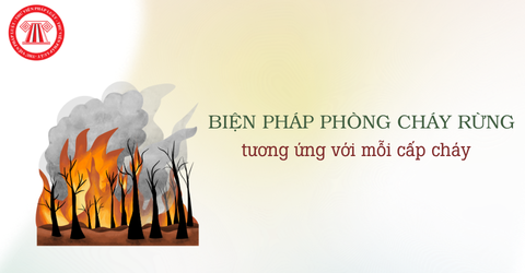 Dự báo cháy rừng gồm mấy cấp? Biện pháp phòng cháy rừng tương ứng với mỗi cấp cháy như nào?