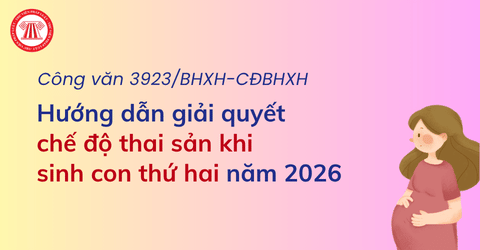 Hướng dẫn giải quyết chế độ thai sản khi sinh con thứ hai chi tiết theo Công văn 3923/BHXH-CĐBHXH năm 2026?