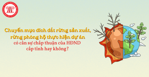 Chuyển mục đích đất rừng sản xuất, rừng phòng hộ thực hiện dự án thì có cần sự chấp thuận của HĐND cấp tỉnh hay không?