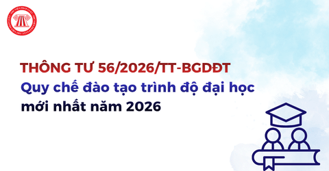 Thông tư 56/2026/TT-BGDĐT: Quy chế đào tạo trình độ đại học mới nhất năm 2026 ra sao?
