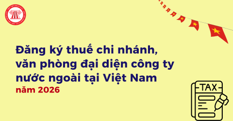 Hướng dẫn đăng ký thuế chi nhánh, văn phòng đại diện công ty nước ngoài tại Việt Nam năm 2026 chi tiết?