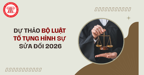 Tải file Dự thảo Bộ luật Tố tụng hình sự sửa đổi 2026 mới nhất?
