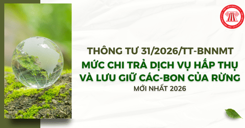 TOÀN VĂN Thông tư 31 2026 TT BNNMT xác định mức chi trả dịch vụ hấp thụ và lưu giữ các-bon của rừng mới nhất 2026