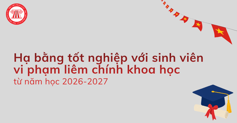 Hạ bằng tốt nghiệp với sinh viên vi phạm liêm chính khoa học từ năm học 2026 2027 theo Thông tư 56 đúng không?