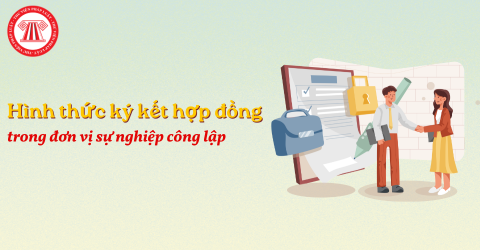 Bài Viết Bản Án