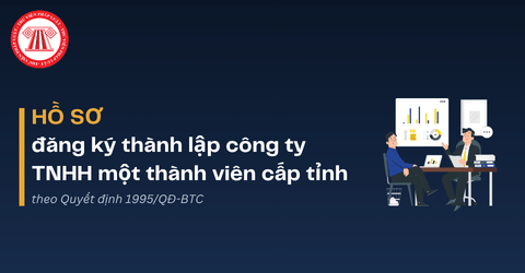 Hồ sơ đăng ký thành lập công ty TNHH một thành viên cấp tỉnh từ 24/7/2026