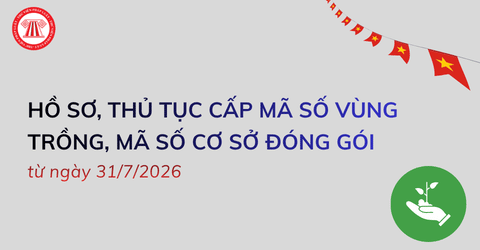 Trọn bộ hồ sơ, thủ tục cấp mã số vùng trồng, mã số cơ sở đóng gói từ ngày 31/7/2026 theo Nghị quyết 36/2026/NQ-CP chi tiết?