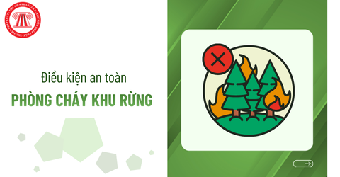 Khu rừng cần phải đáp ứng các điều kiện an toàn về phòng cháy thế nào?