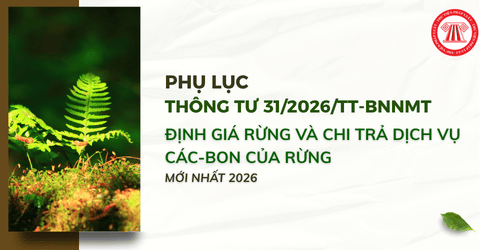 Trọn bộ Phụ lục Thông tư 31 2026 TT BNNMT về định giá rừng và chi trả dịch vụ các-bon của rừng mới nhất 2026