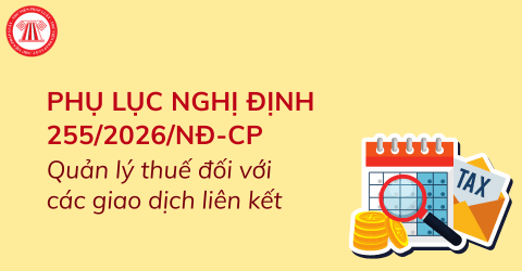 Phụ lục Nghị định 255/2026/NĐ-CP về quản lý thuế đối với các giao dịch liên kết mới nhất năm 2026