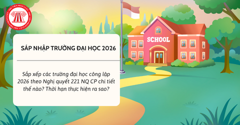 Sắp xếp các trường đại học công lập 2026 theo Nghị quyết 221 NQ CP chi tiết thế nào? Thời hạn thực hiện ra sao?