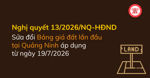 Bài Viết Bản Án