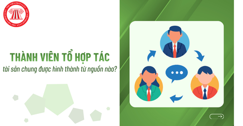 Tài sản chung của các thành viên tổ hợp tác được hình thành từ nguồn nào? Xác minh phần đóng góp như thế nào?