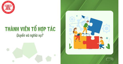 Điều kiện trở thành thành viên tổ hợp tác là gì? Quyền và nghĩa vụ của thành viên tổ hợp tác ra sao?