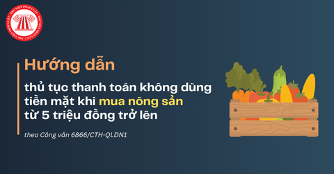 Hướng dẫn thủ tục thanh toán không dùng tiền mặt khi mua nông sản từ 5 triệu đồng trở lên theo Công văn 6866/CTH-QLDN1 chi tiết thế nào?