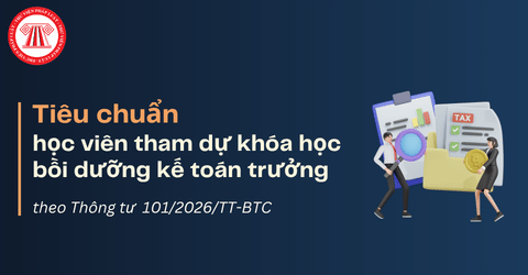 Cá nhân tham dự khóa học bồi dưỡng kế toán trưởng phải đáp ứng những tiêu chuẩn gì? 