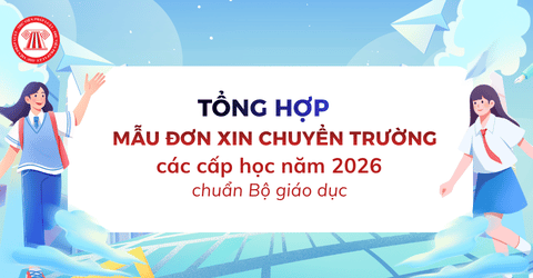 Tổng hợp Mẫu đơn xin chuyển trường các cấp học năm 2026 cho học sinh chuẩn Bộ giáo dục 