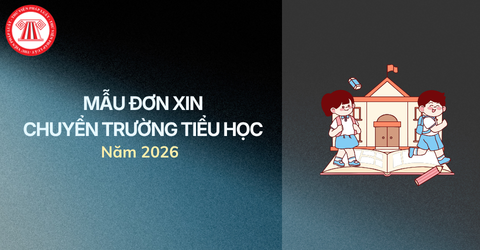 Mẫu đơn xin chuyển trường tiểu học mới nhất 2026 theo quy định Thông tư 15/2026/TT-BGDĐT