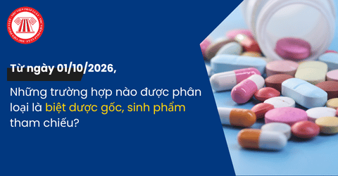 Những trường hợp nào được phân loại là biệt dược gốc, sinh phẩm tham chiếu từ ngày 01/10/2026? 