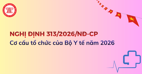 Cơ cấu tổ chức của Bộ Y tế năm 2026 theo Nghị định 313 2026 NĐ CP bao gồm những tổ chức, đơn vị nào?