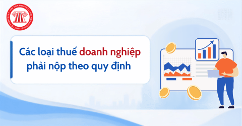Doanh nghiệp phải nộp các loại thuế nào năm 2026