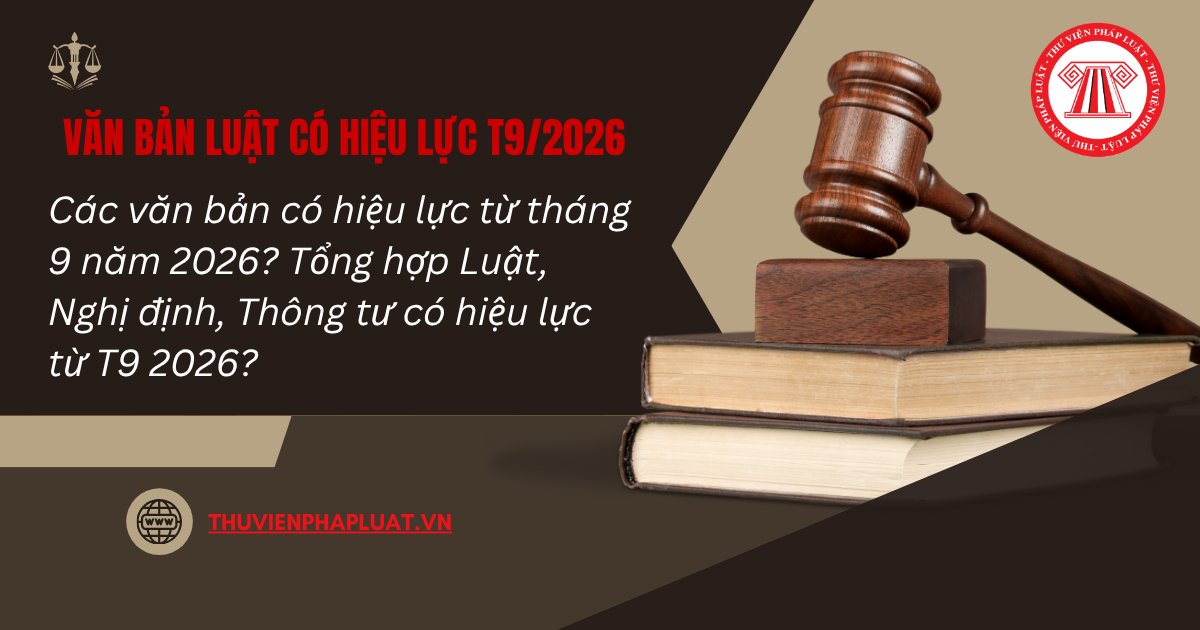 Các văn bản có hiệu lực từ tháng 9 năm 2026? Tổng hợp Luật, Nghị định, Thông tư có hiệu lực từ T9 2026?