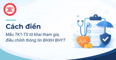 Hướng dẫn cách điền Mẫu TK1-TS tờ khai tham gia, điều chỉnh thông tin BHXH BHYT