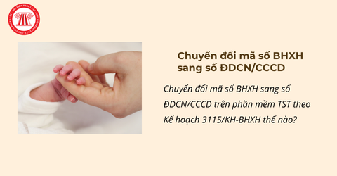 Chuyển đổi mã số BHXH sang số ĐDCN/CCCD trên phần mềm TST theo Kế hoạch 3115/KH-BHXH như thế nào? Thời gian thực hiện ra sao?