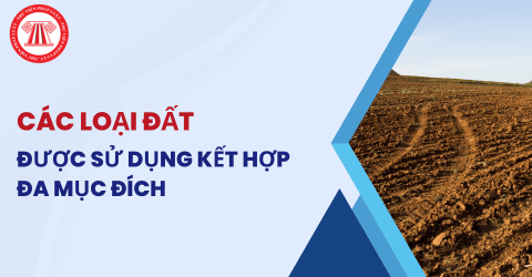 Sử dụng đất kết hợp đa mục đích là gì? Loại đất nào được sử dụng kết hợp đa mục đích?
