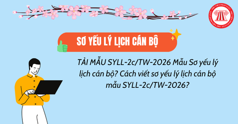 TẢI MẪU SYLL-2c/TW-2026 Mẫu Sơ yếu lý lịch cán bộ? Cách viết sơ yếu lý lịch cán bộ mẫu SYLL-2c/TW-2026?