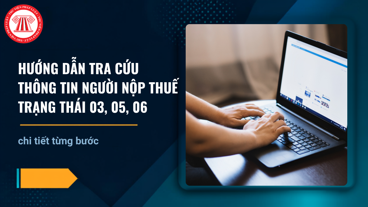 Hướng dẫn tra cứu thông tin người nộp thuế trạng thái 03, 05, 06 trên congkhaithongtin gdt gov vn chi tiết từng bước ra sao?