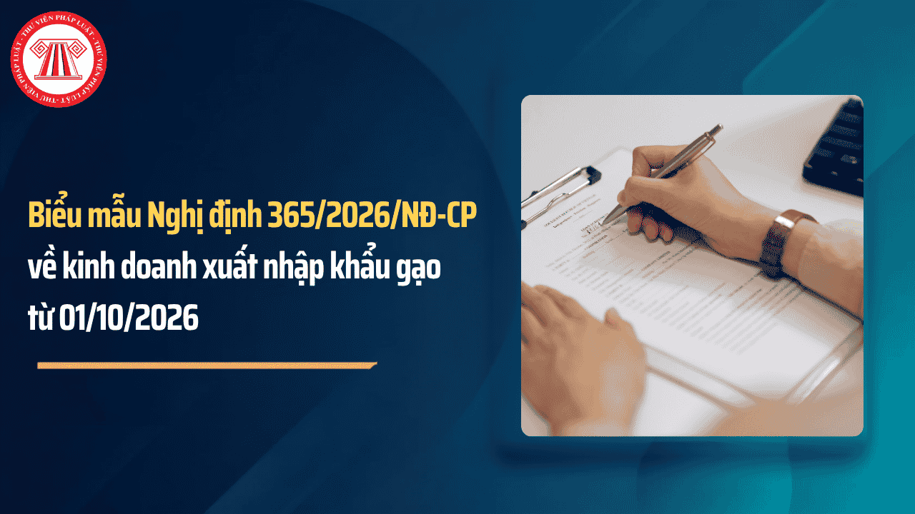 TOÀN BỘ biểu mẫu Nghị định 365 2026 NĐ CP về kinh doanh xuất nhập khẩu gạo từ 01/10/2026 chi tiết thế nào?