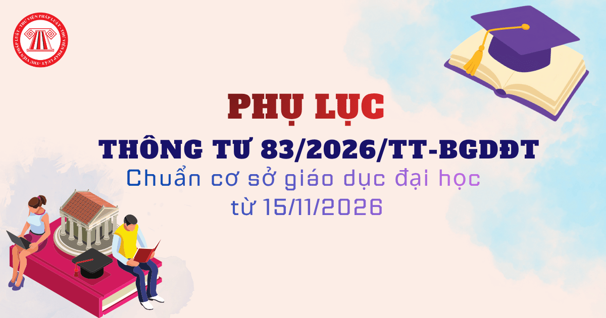Hướng dẫn khai nhiều tờ khai cùng loại hình cho cùng một lô hàng nhập khẩu theo Công văn 22350