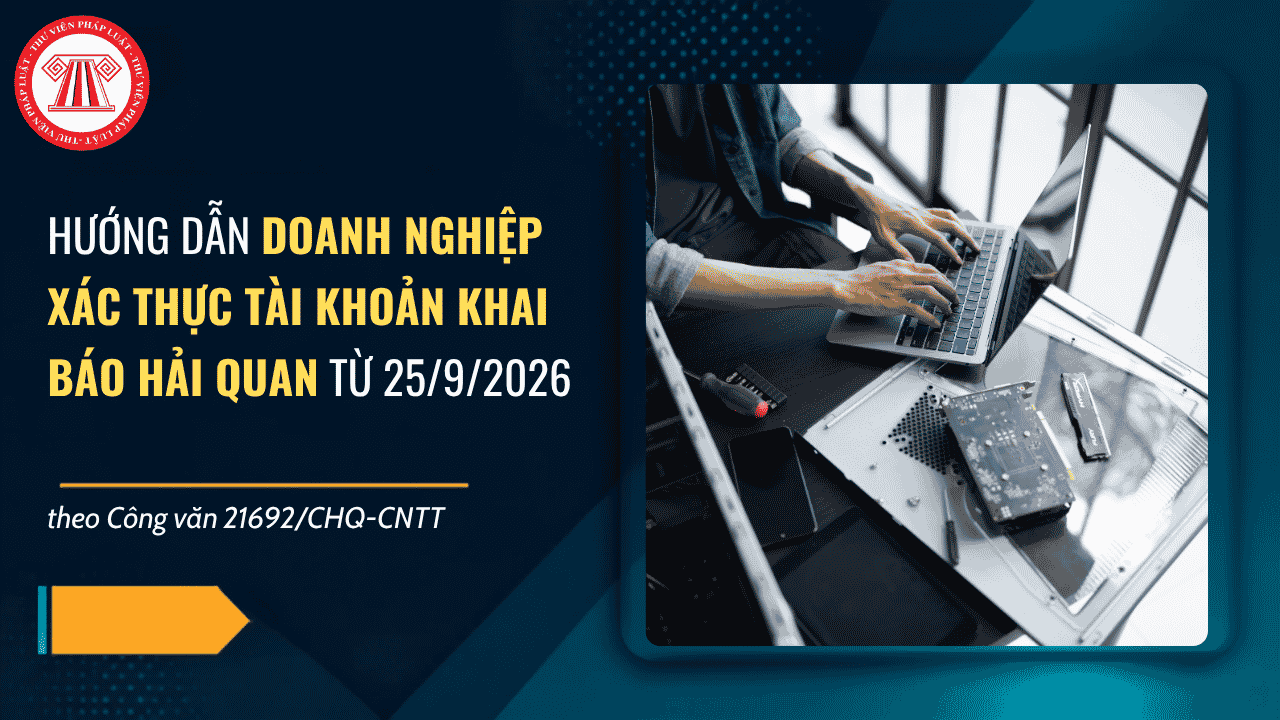 Công văn 21692 CHQ CNTT hướng dẫn Doanh nghiệp xác thực tài khoản khai báo hải quan từ 25/9/2026 chi tiết thế nào?