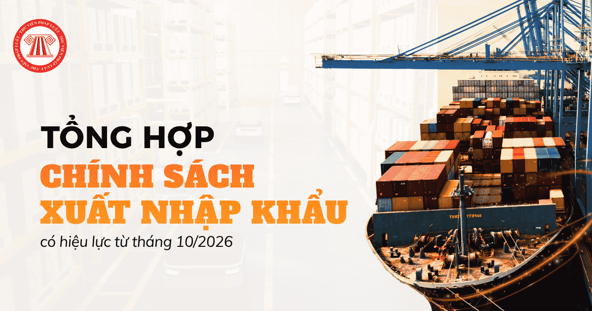 Tổng hợp các chính sách xuất nhập khẩu có hiệu lực từ tháng 10/2026 chi tiết cho doanh nghiệp?