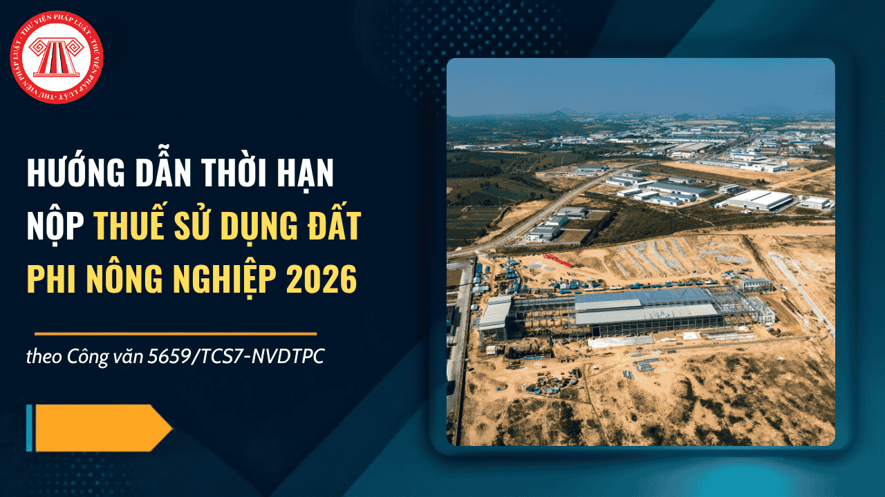 Hướng dẫn thời hạn nộp thuế sử dụng đất phi nông nghiệp 2026 theo Công văn 5659/TCS7-NVDTPC chi tiết thế nào?