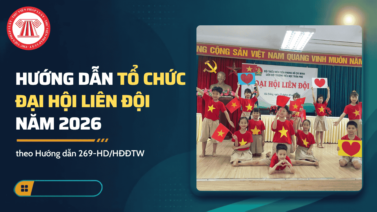 Bài Viết Bản Án