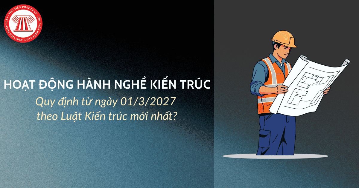 Bài Viết Bản Án