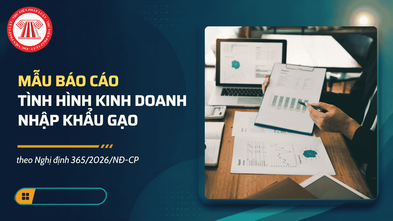 Mẫu báo cáo tình hình kinh doanh nhập khẩu gạo 2026 theo Nghị định 365 2026 có dạng ra sao?