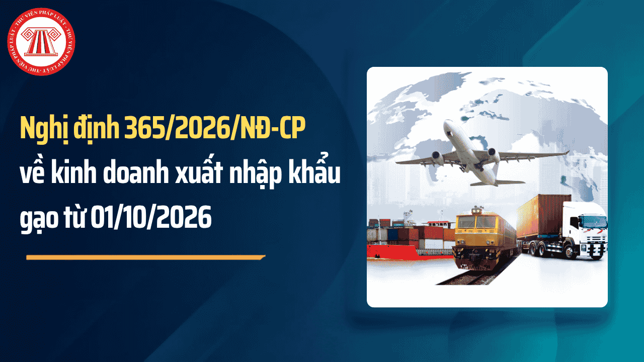 Nghị định 365 2026 NĐ CP về kinh doanh xuất nhập khẩu gạo từ 01/10/2026 chi tiết thế nào?