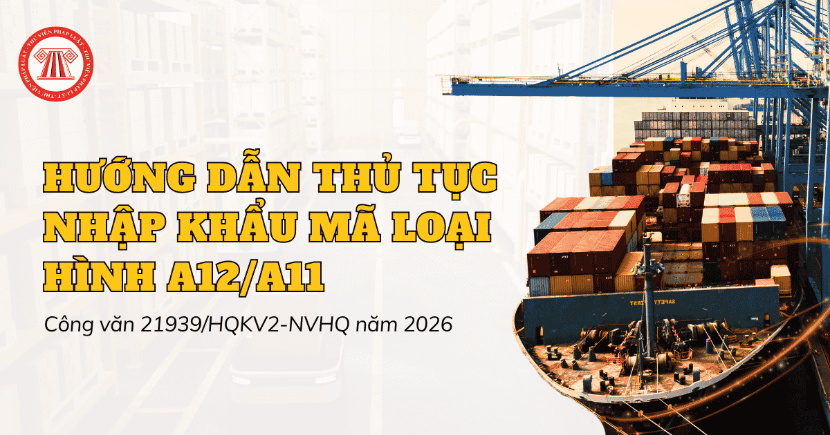 Hướng dẫn thủ tục nhập khẩu mã loại hình A12/A11 theo Công văn 21939/HQKV2-NVHQ năm 2026 ra sao?