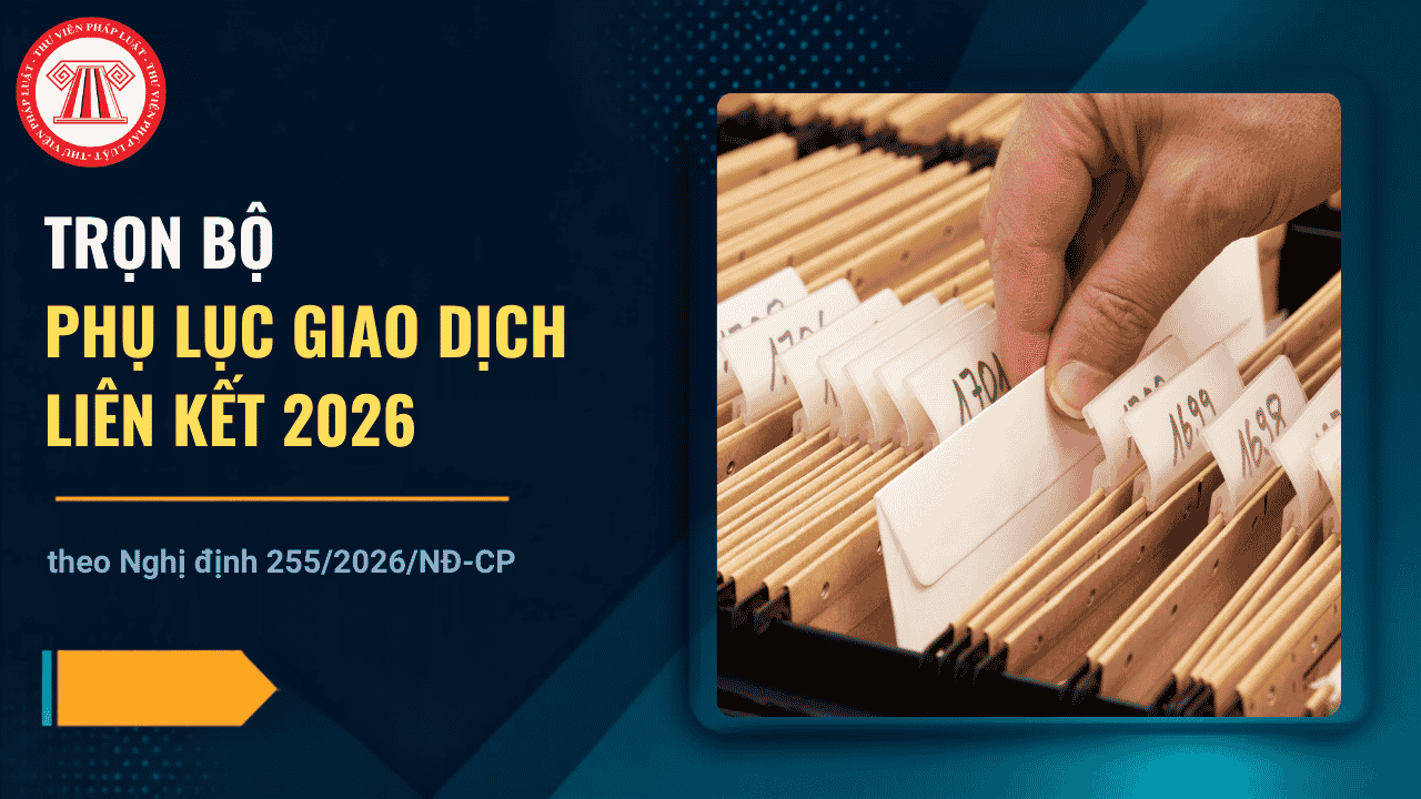 Phụ lục giao dịch liên kết 2026 theo Nghị định 255